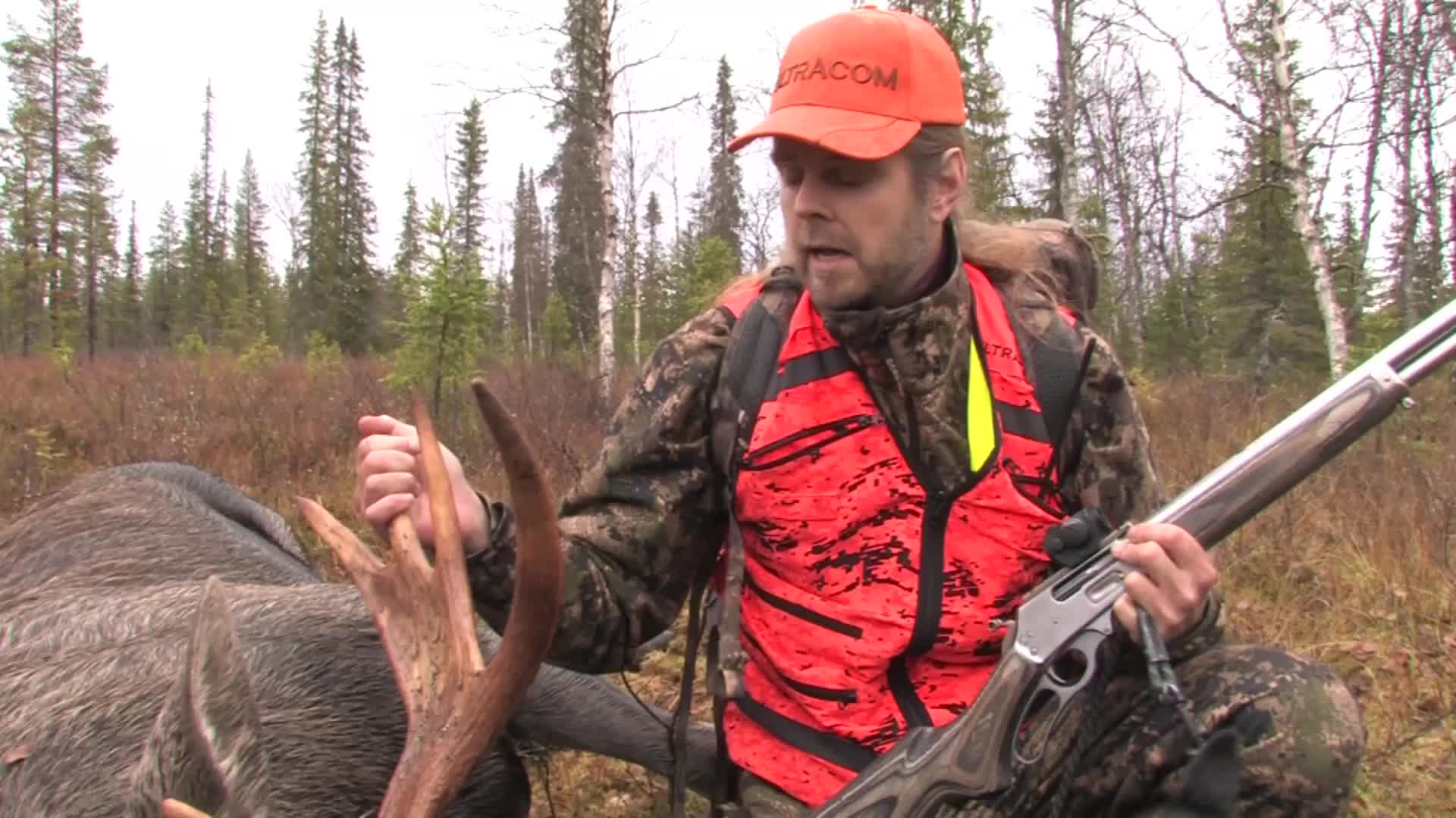 Missi : En Av Världens Bästa Älghundar