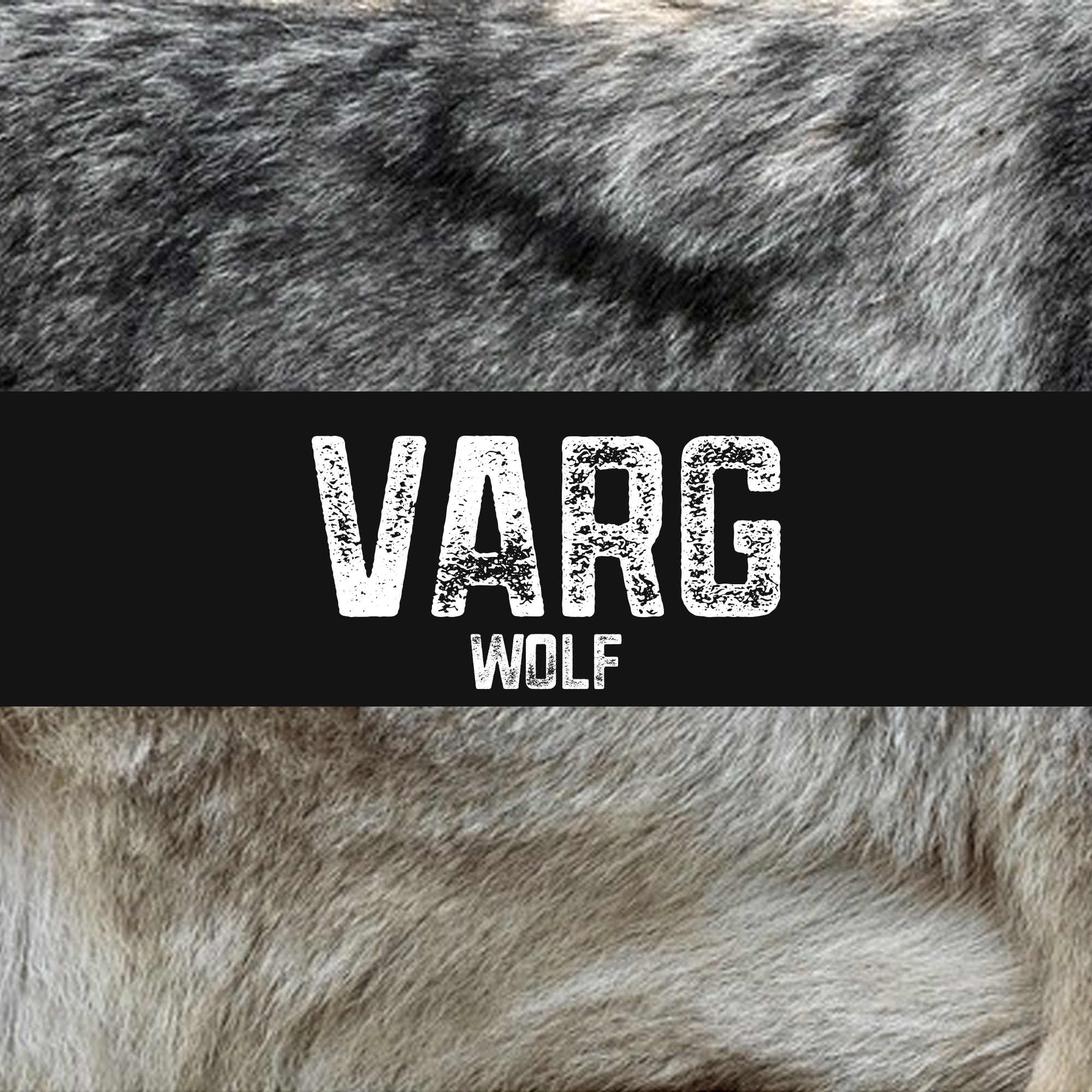 Varg | Wolf