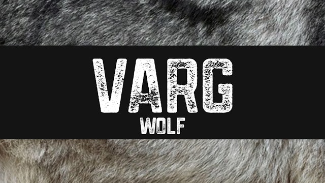 Varg | Wolf