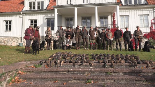 Jakt med Bearplay :  Andjakt i Molsta...