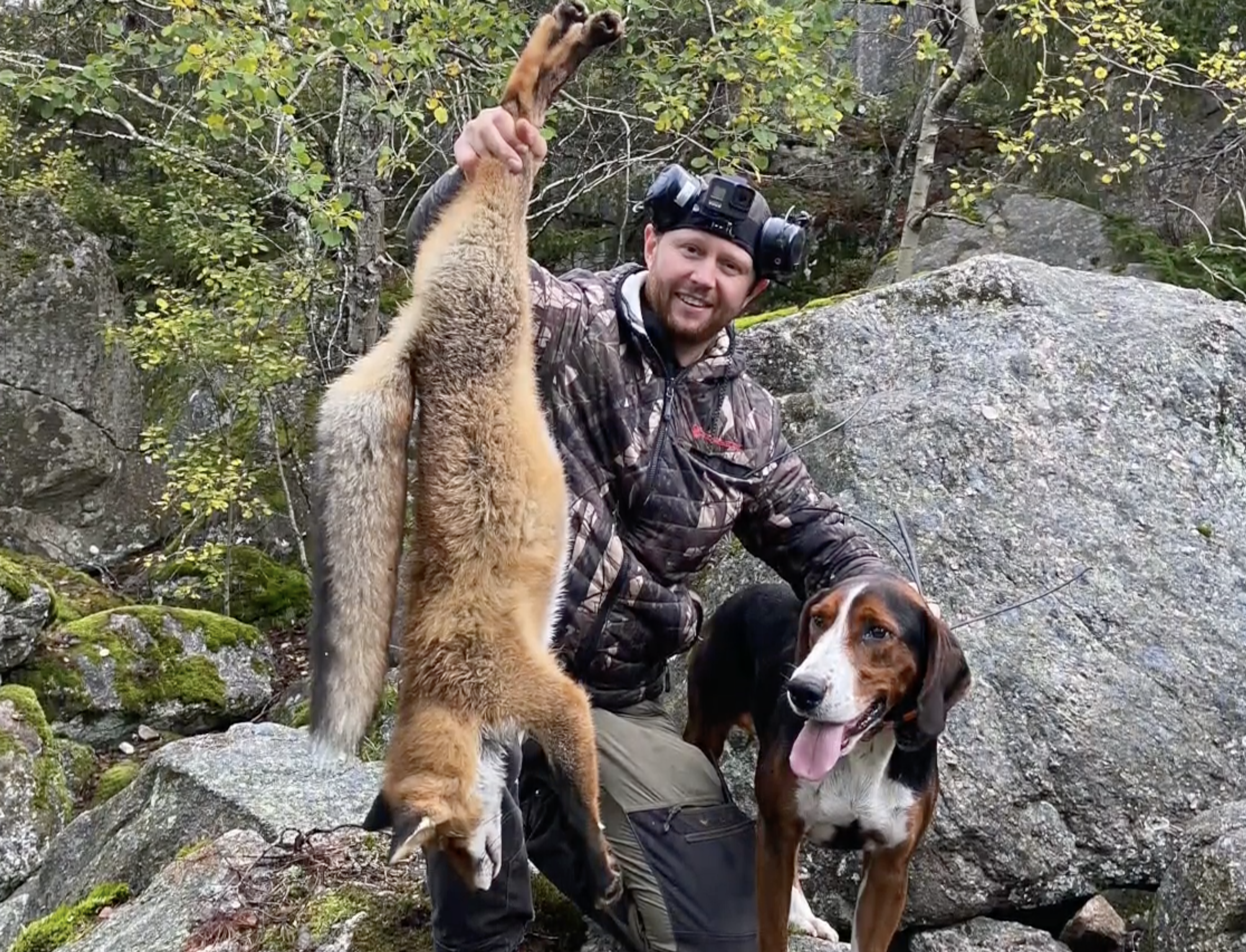 Martin Brennes Jägarliv : Rävjakt 8