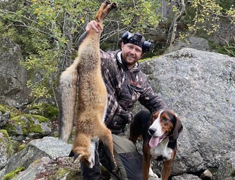 Martin Brennes Jägarliv : Rävjakt 8