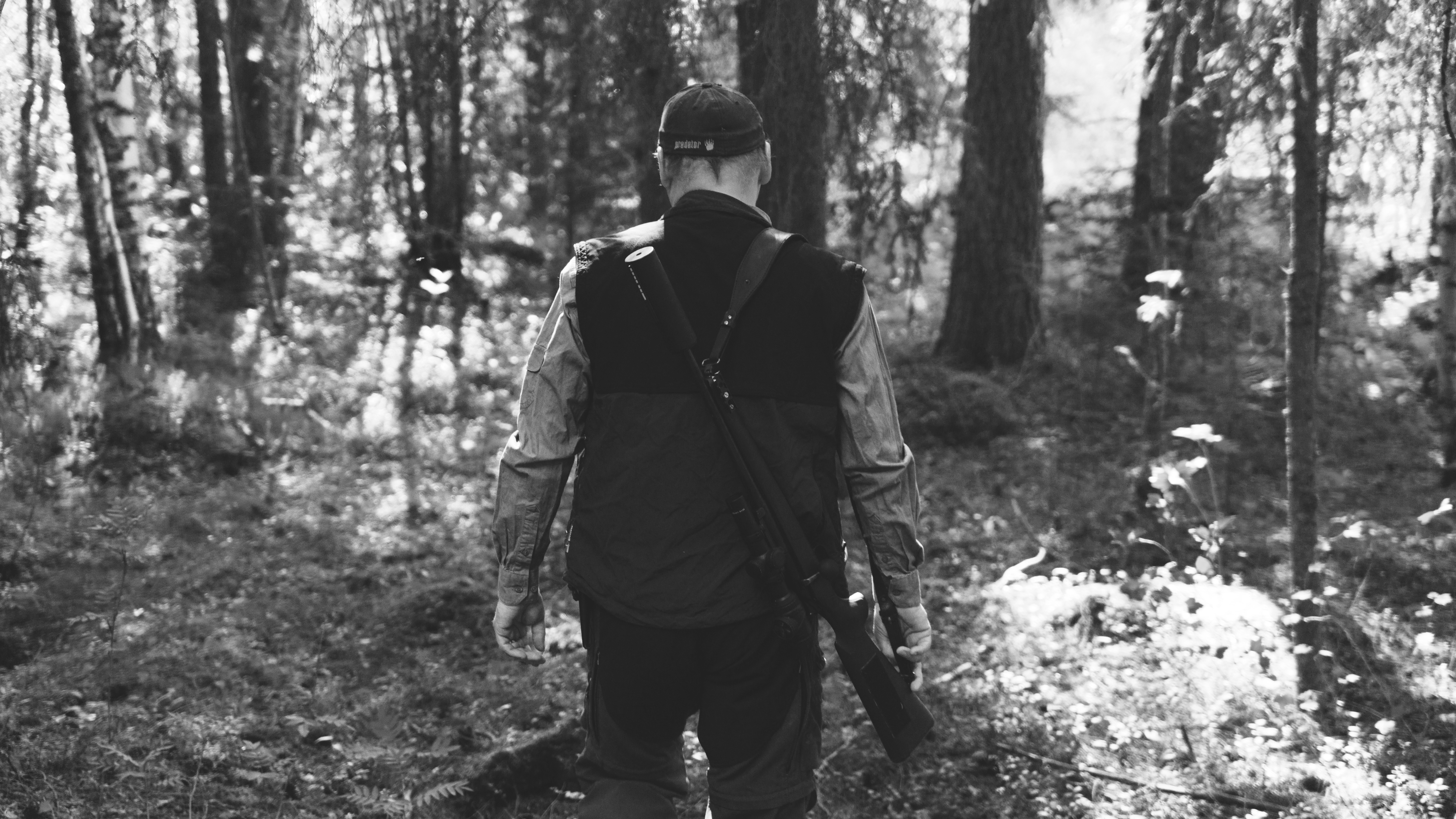 Rasmus Vardag : Alexanders Björn