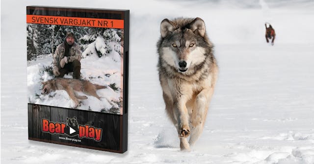 Svensk Vargjakt 1