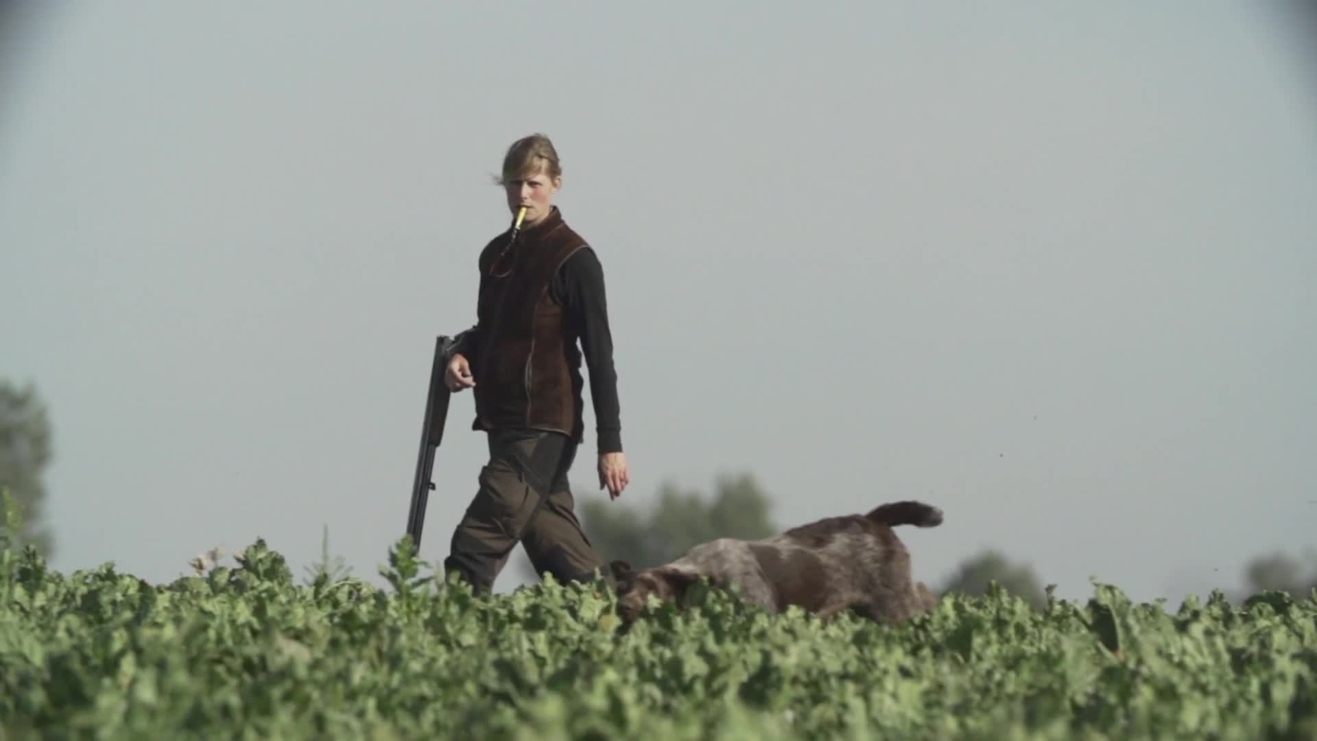 Jakt Med Stående Fågelhund