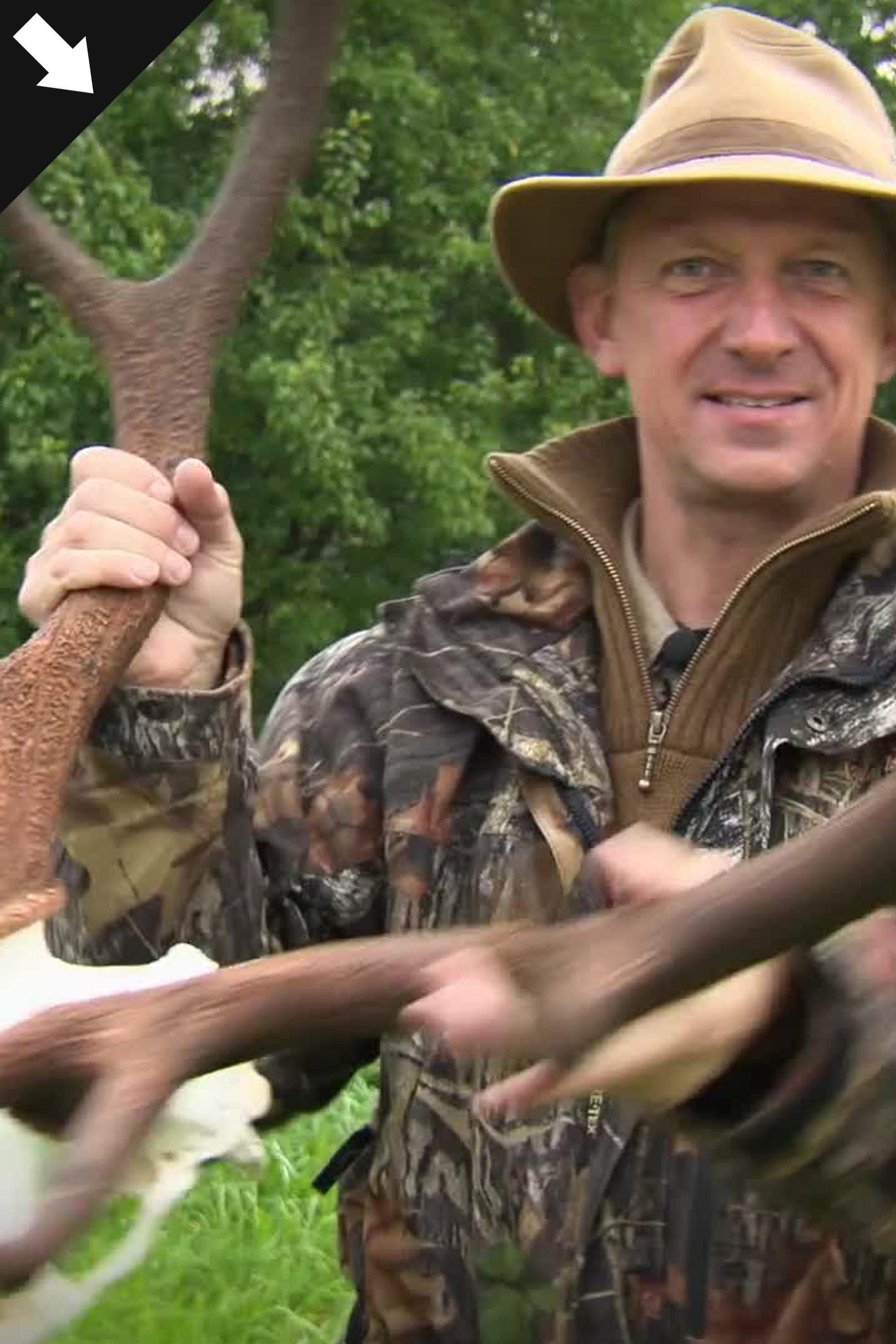 Kronhjortsjakt i Polen