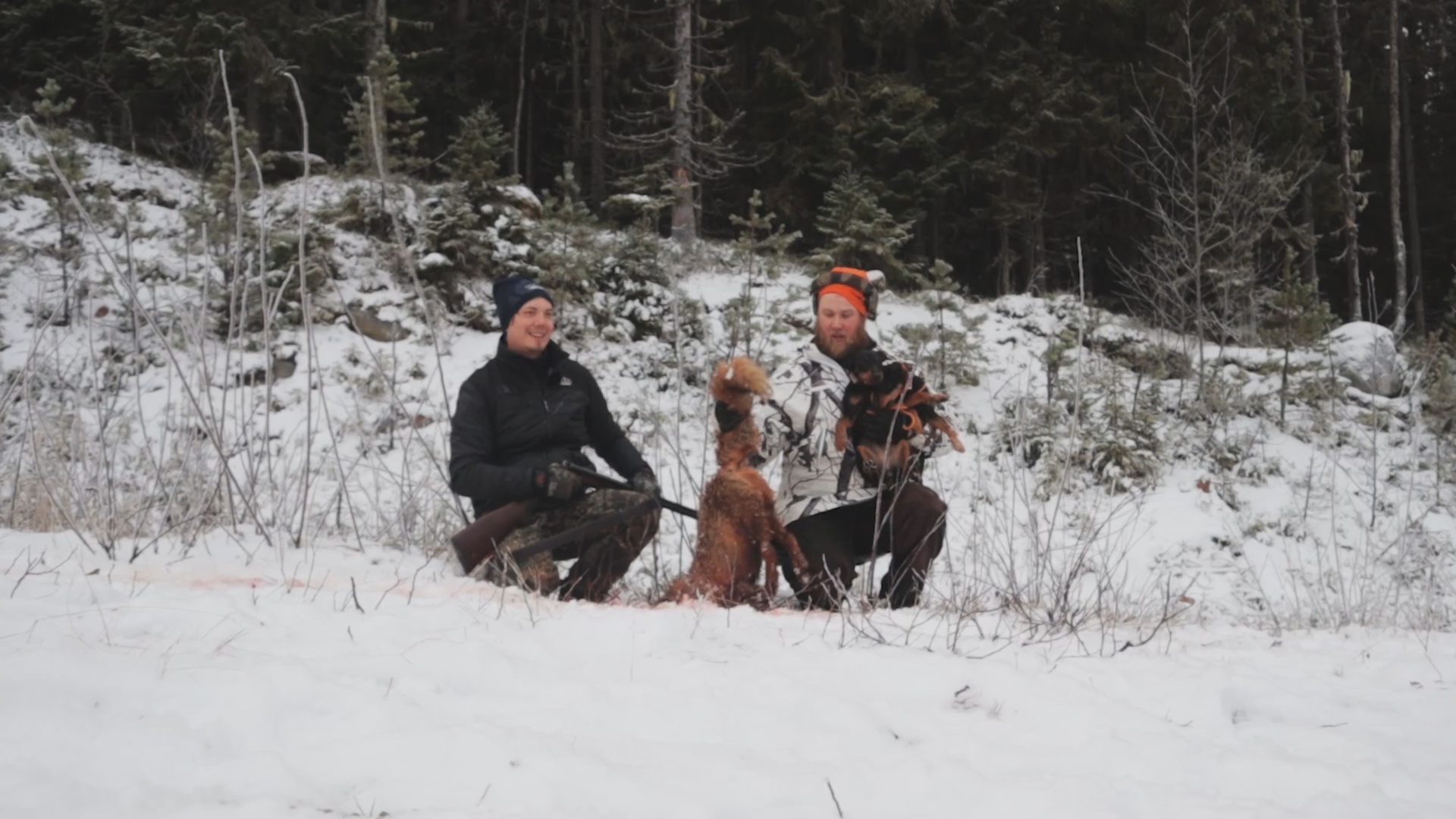 Nordlander Jakt : Rävjakt 3