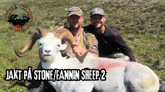 Tom Sallows- Jakt på Stone/Fannin She...