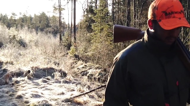 Höstens Äventyr : Rådjursjakt med hund Trailer