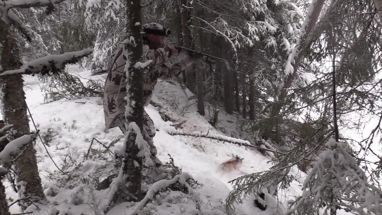 Rasmus Vardag : Rävjakt 21