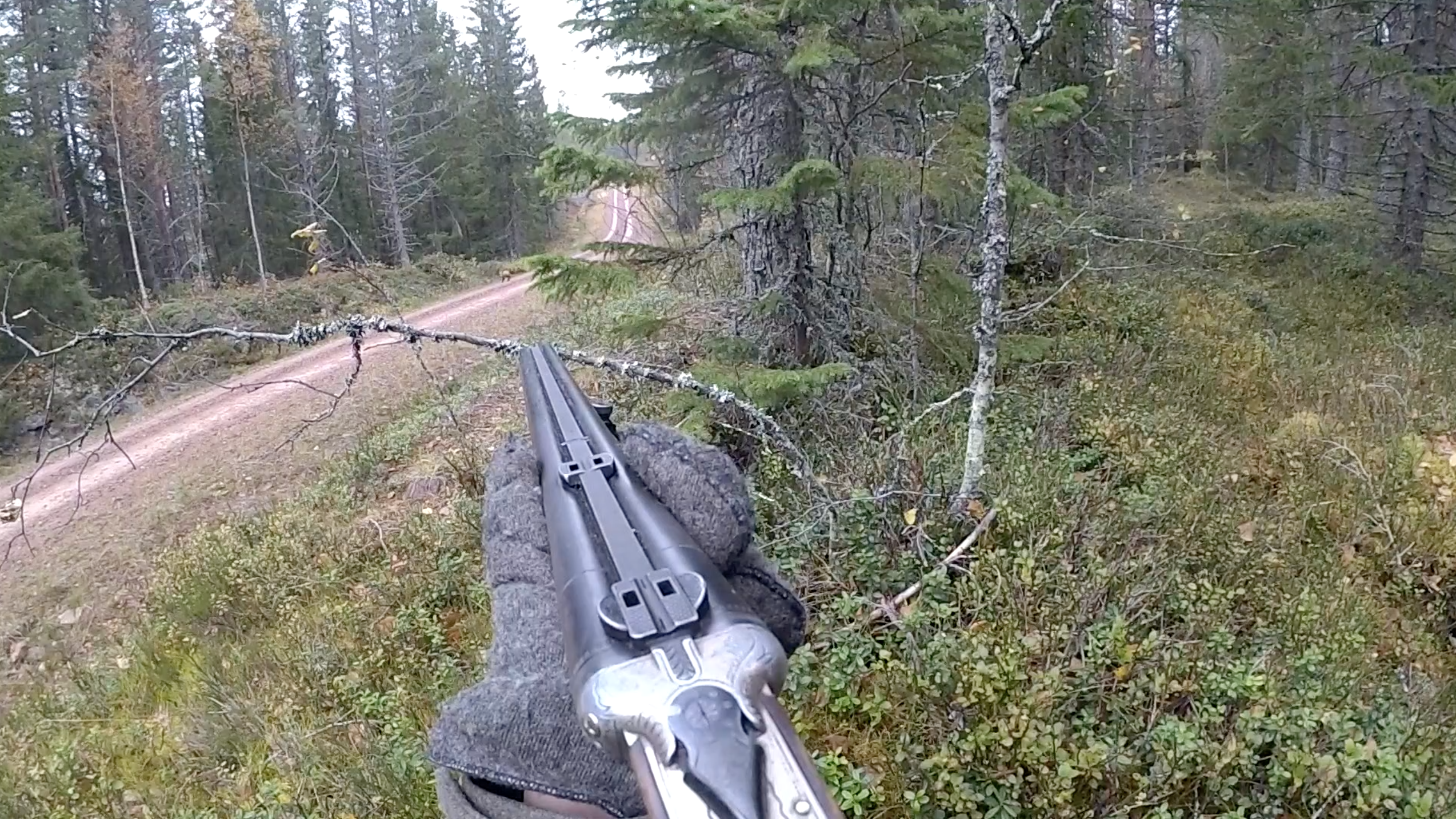 Rasmus Vardag : Rävjakt 23