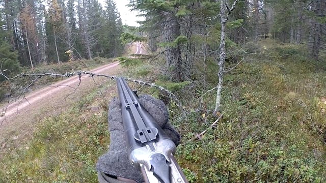 Rasmus Vardag : Rävjakt 23