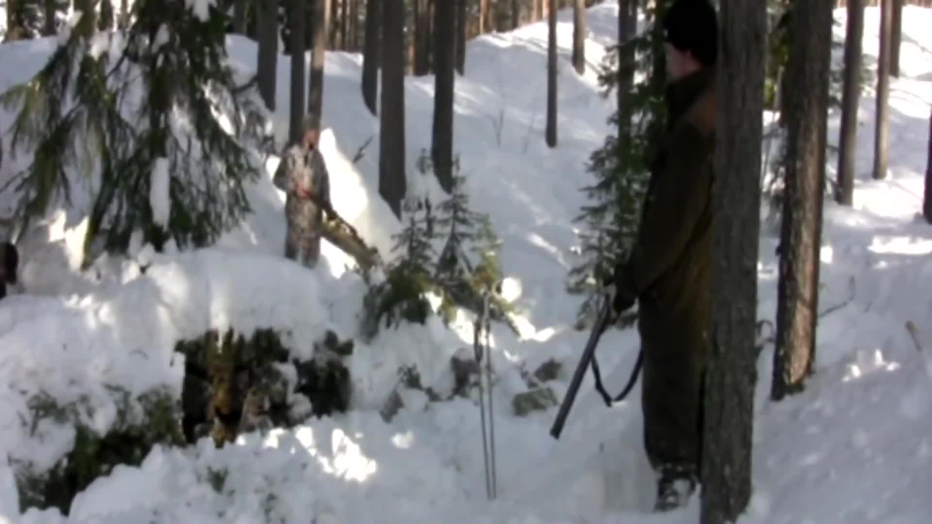 Svensk Mårdjakt 1 : Rasmus blir skjuten