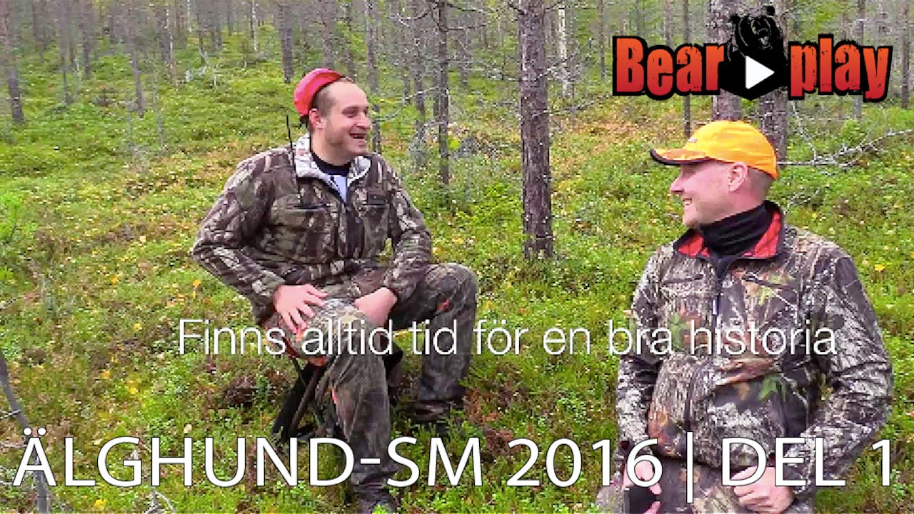 Älghund Sm 2016 Del 1 Bearplay Jaktfilm 1412