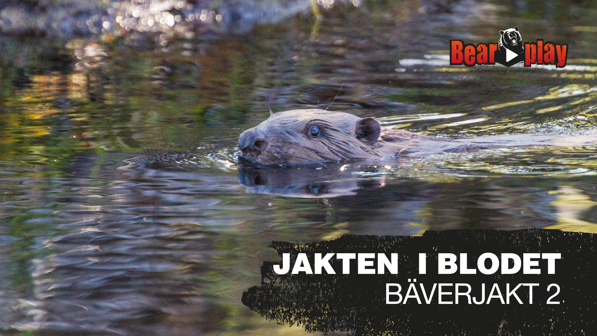 Jakten I Blodet : Bäverjakt Del 2