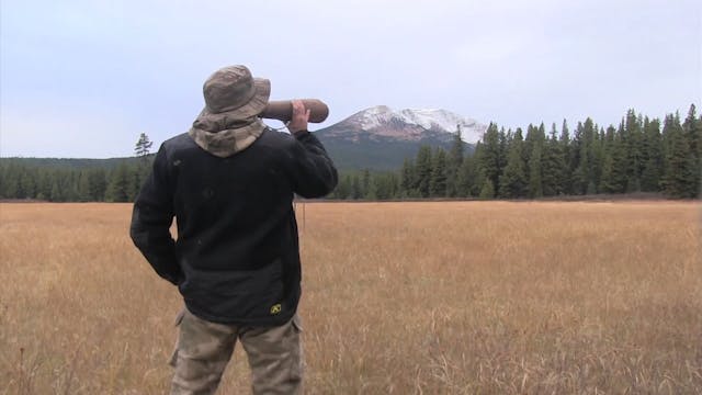 Tom Sallows | Älgjakt i Canada 