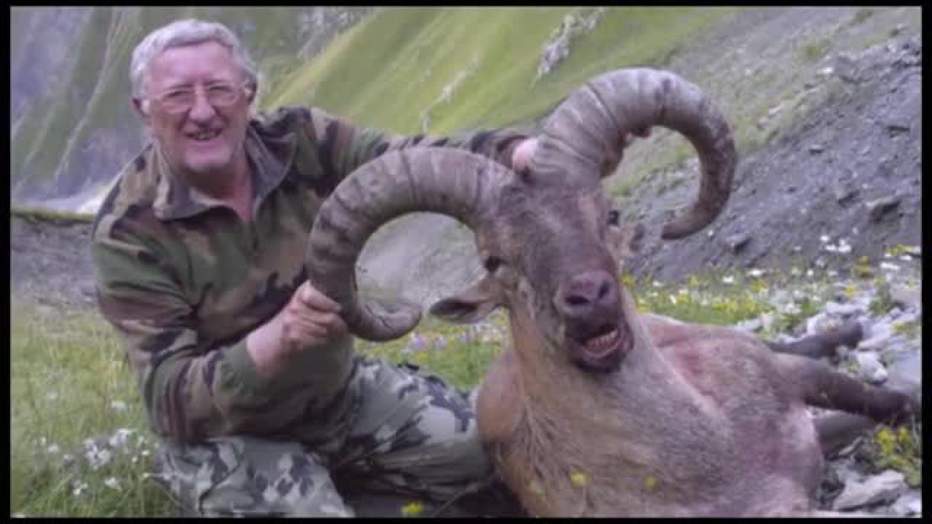 Seladang : Jakt På Östkaukasisk Stenbock