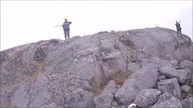 Rasmus Vardag : Minkjakt 2