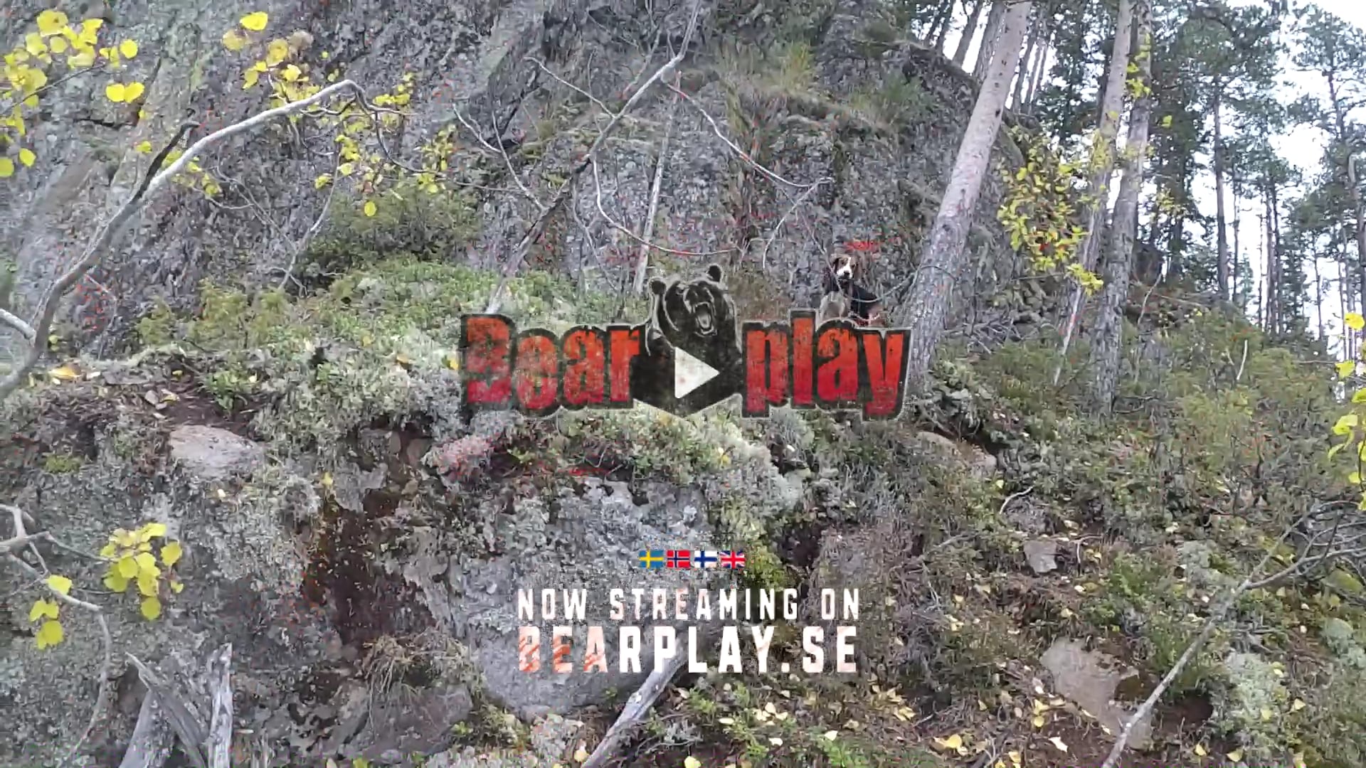 Rasmus Vardag : Grävling och Rävjakt Teaser 1