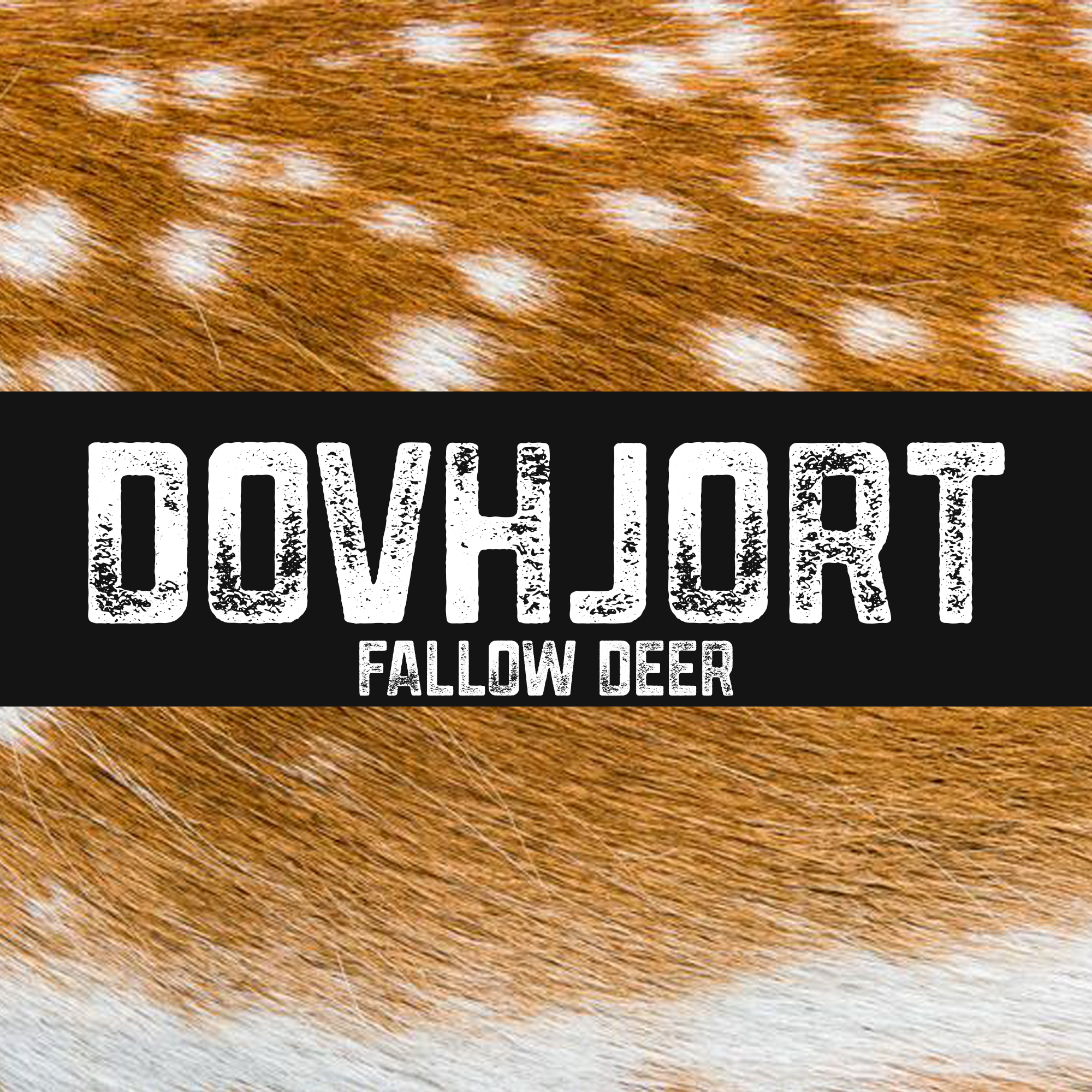 Dovhjort | Fallow deer