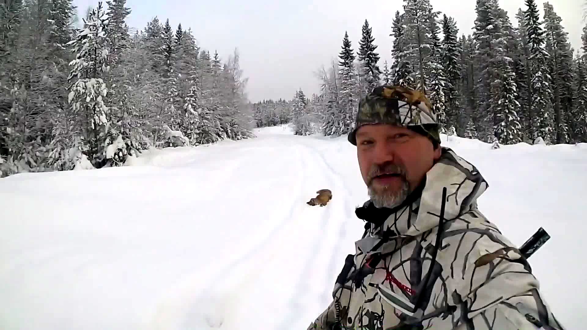 Rasmus Vardag : Räv- & Mårdjakt 14