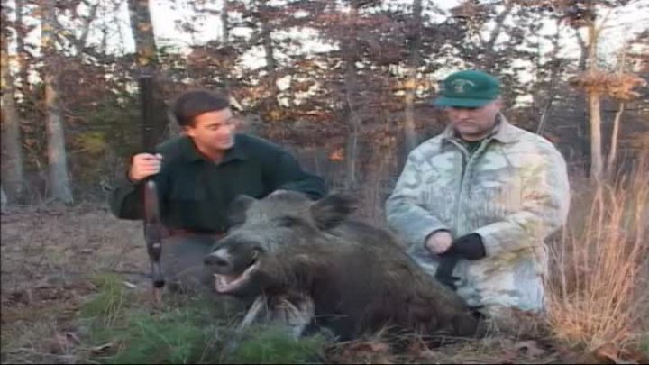 Big Bore Productions : Boared to Death