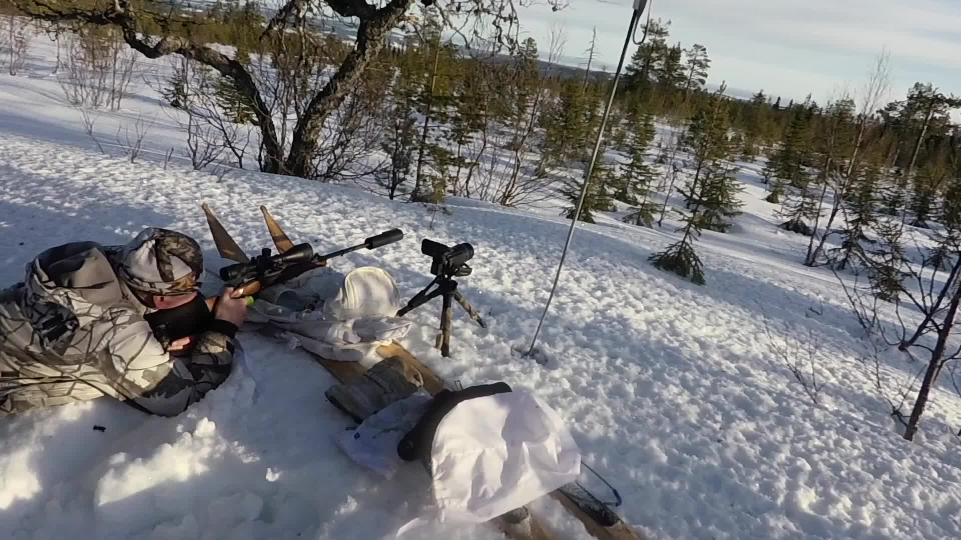 Rasmus Vardag : Fågeljakt 2