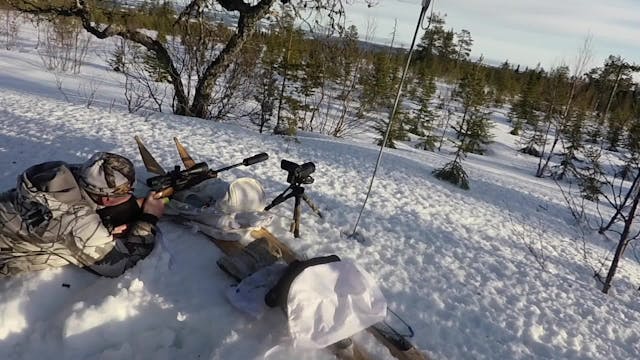 Rasmus Vardag : Fågeljakt 2