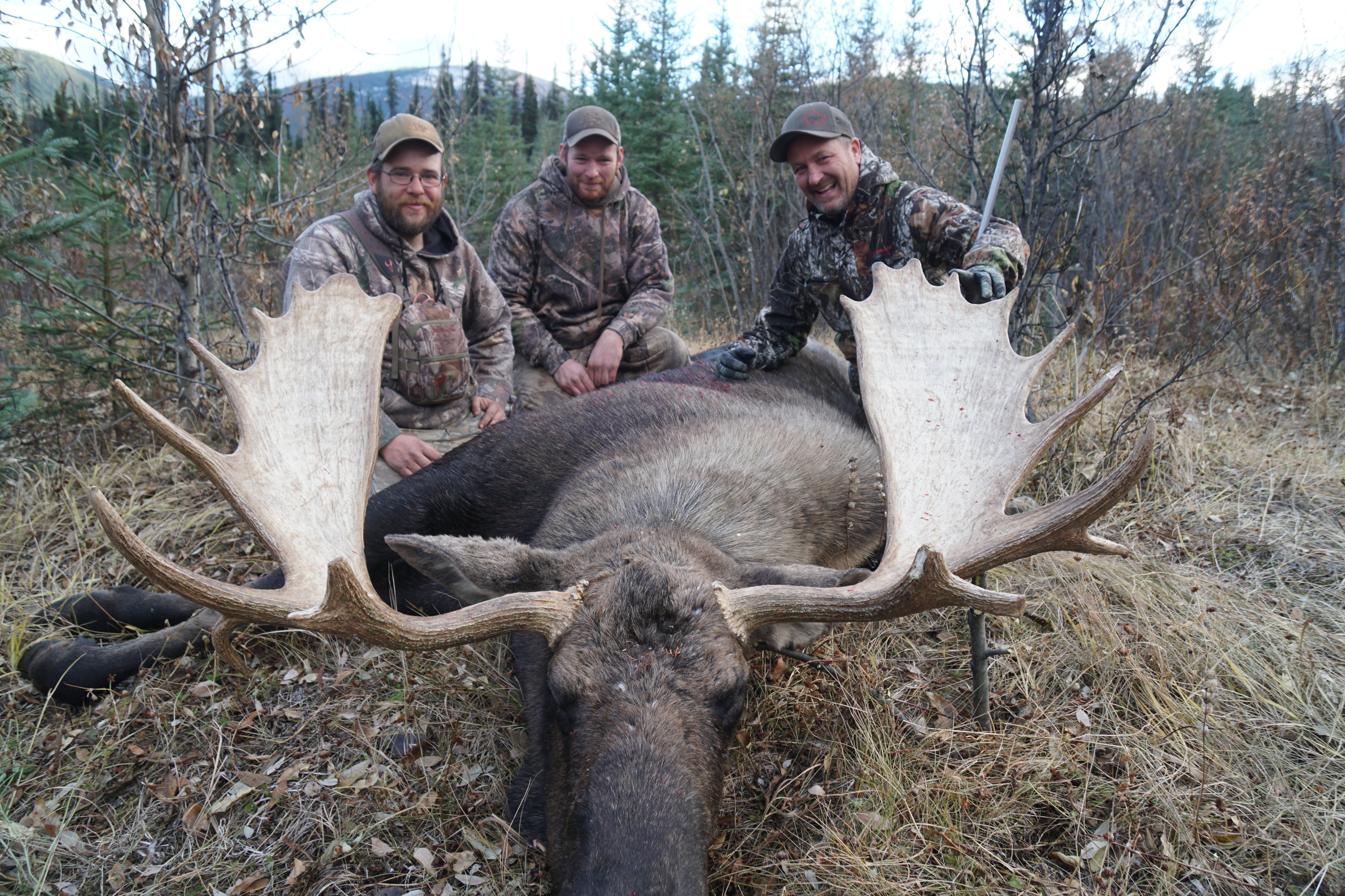 DESTINATION : Älgjakt i British Columbia