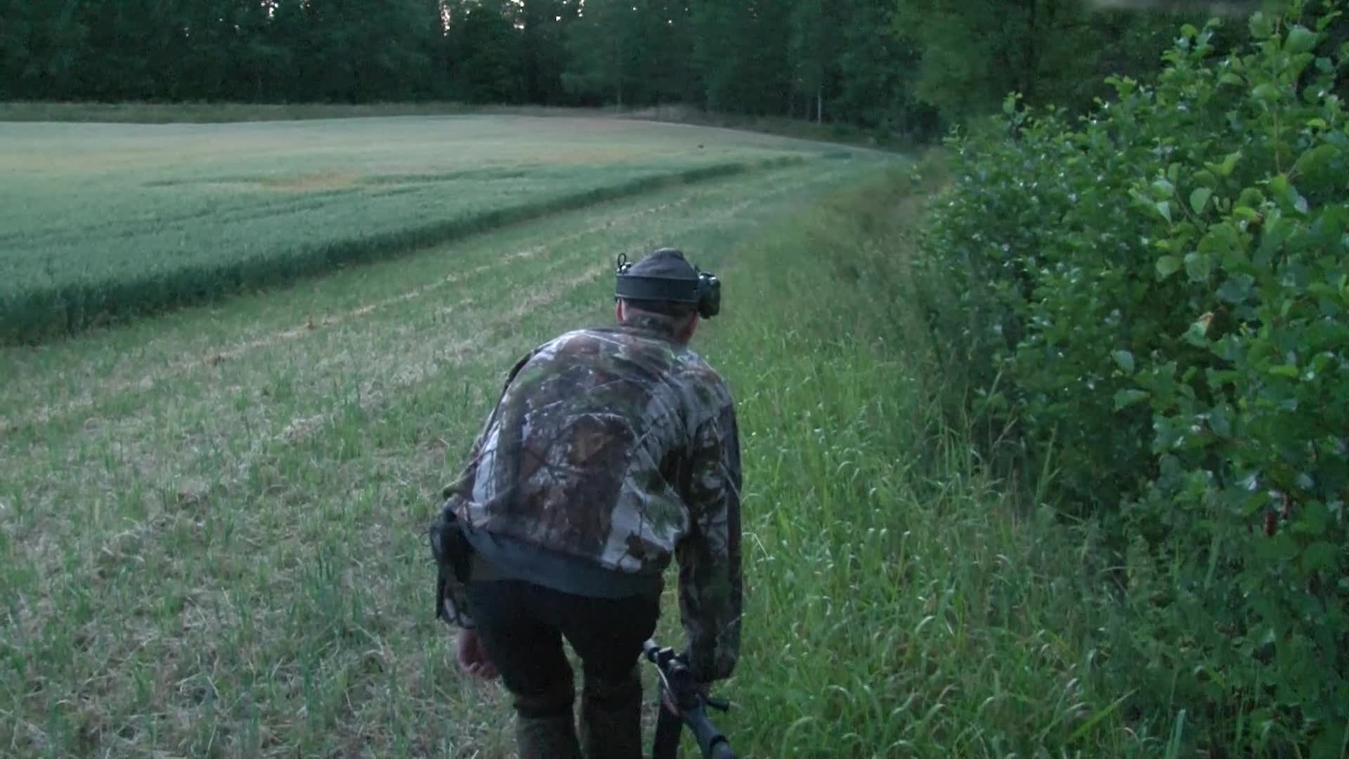 Martin Brenne Jegerliv : Vildsvinsjakt 2