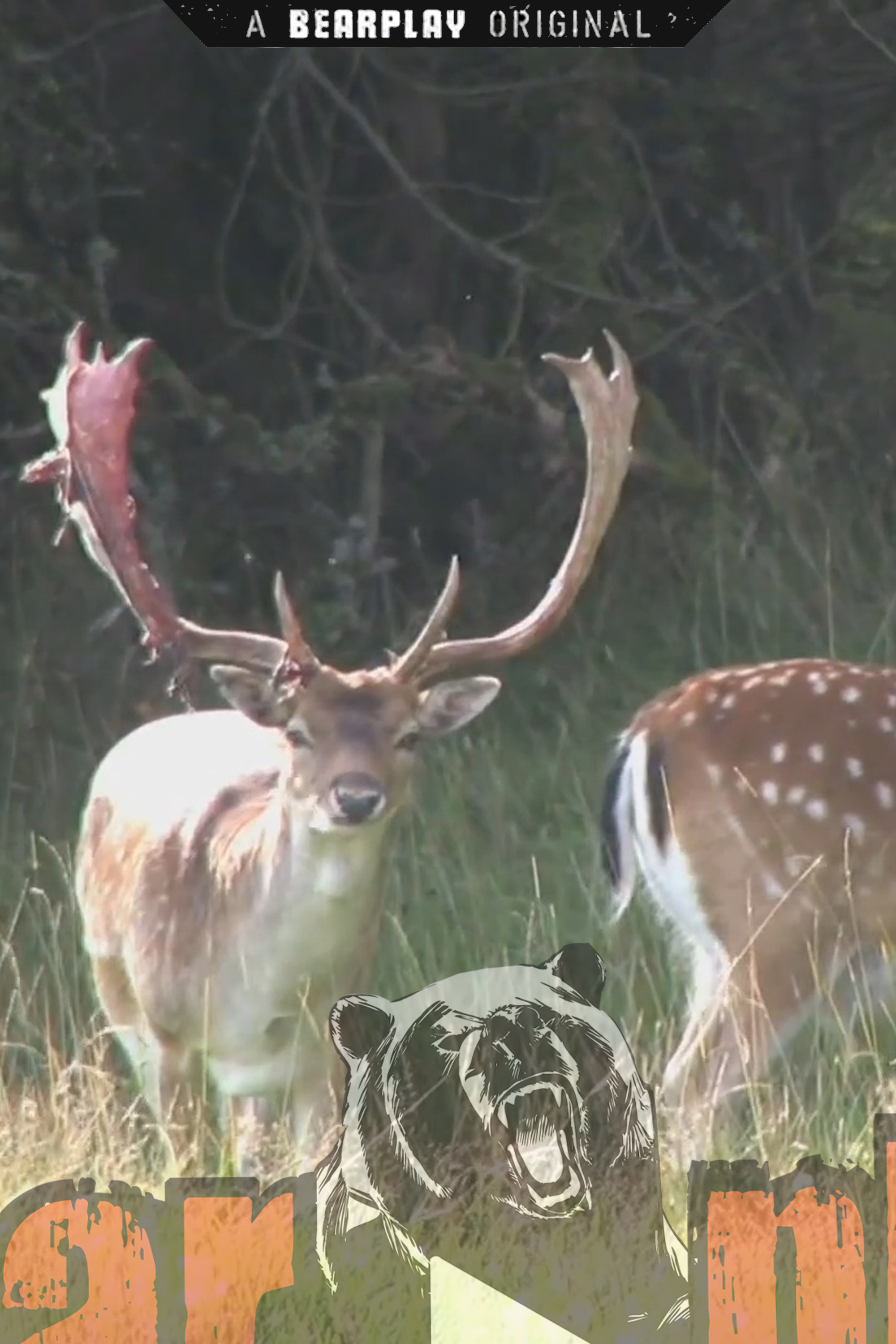 Svensk Dovviltsjakt 1