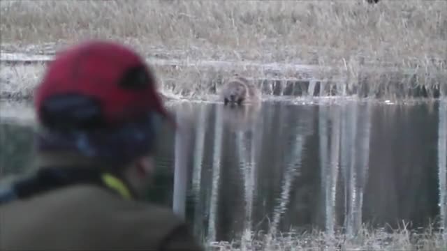 Bröderna Bravader : Bäverjakt