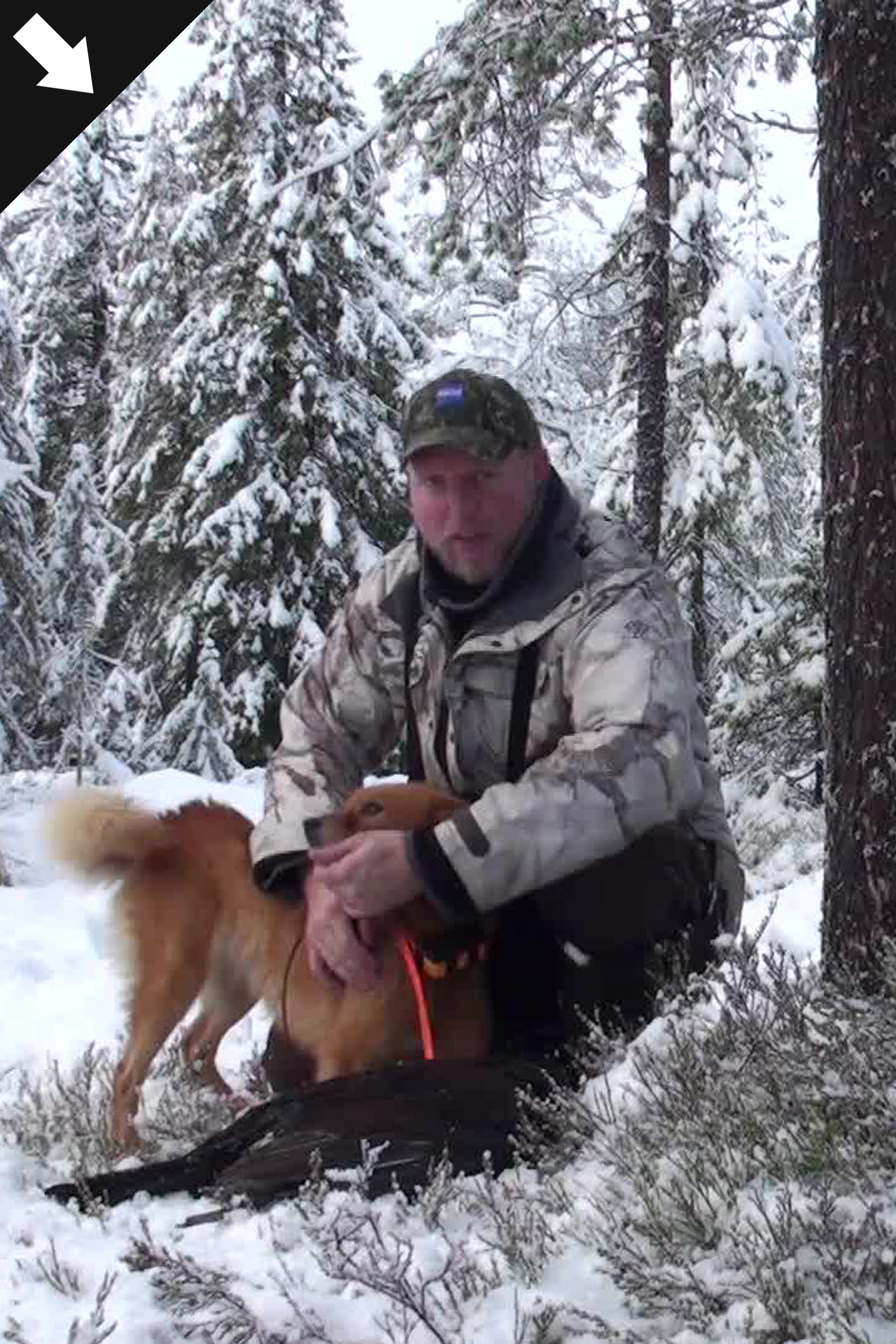 I Skogsfågelns Rike 4 : Kristoffer Clausen