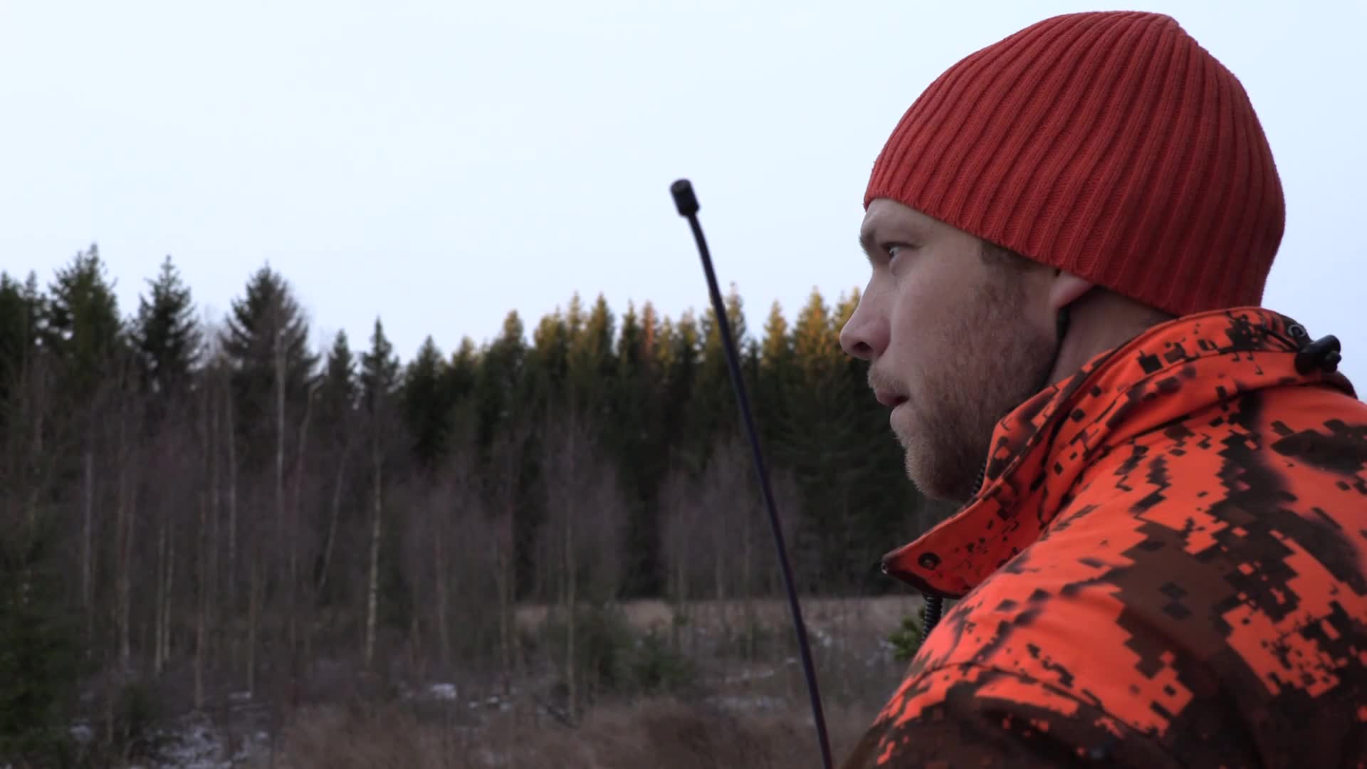 Jakten För Alla : Rådjursjakt Med Tax Del 1