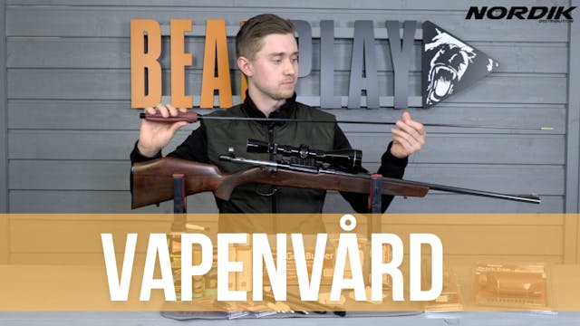 VAPENVÅRD