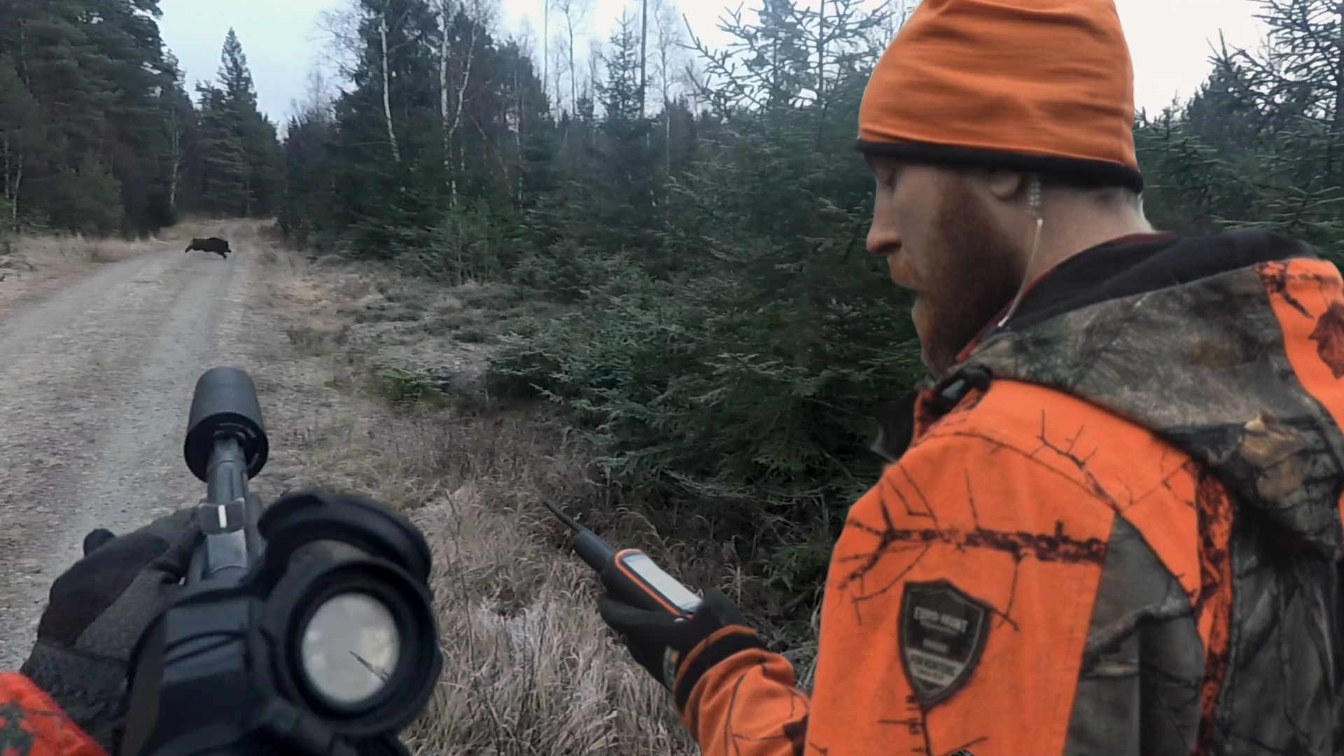 Martins Jakt : Vildsvinsjakt med Ali och Ingo