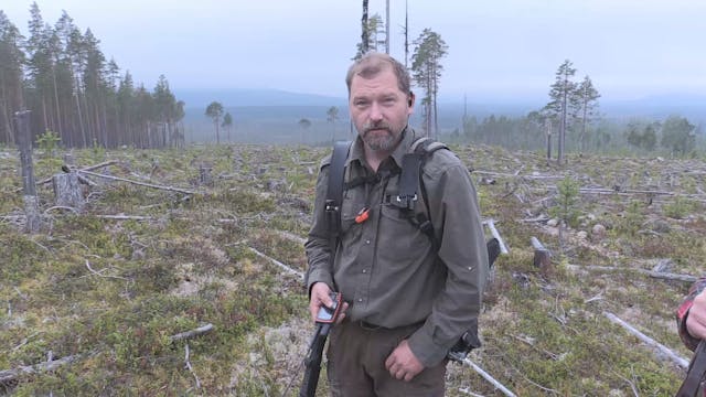 Björnjakten 2015 : Del 3