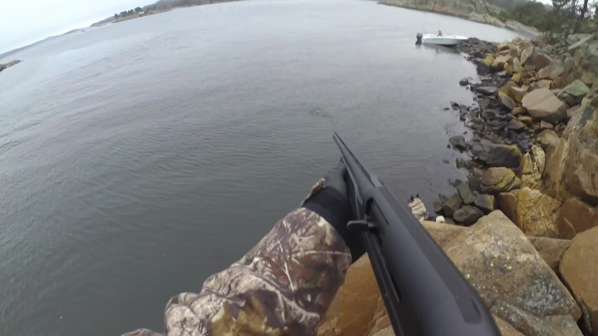 Martin Brenne Jegerliv : Minkjakt 1