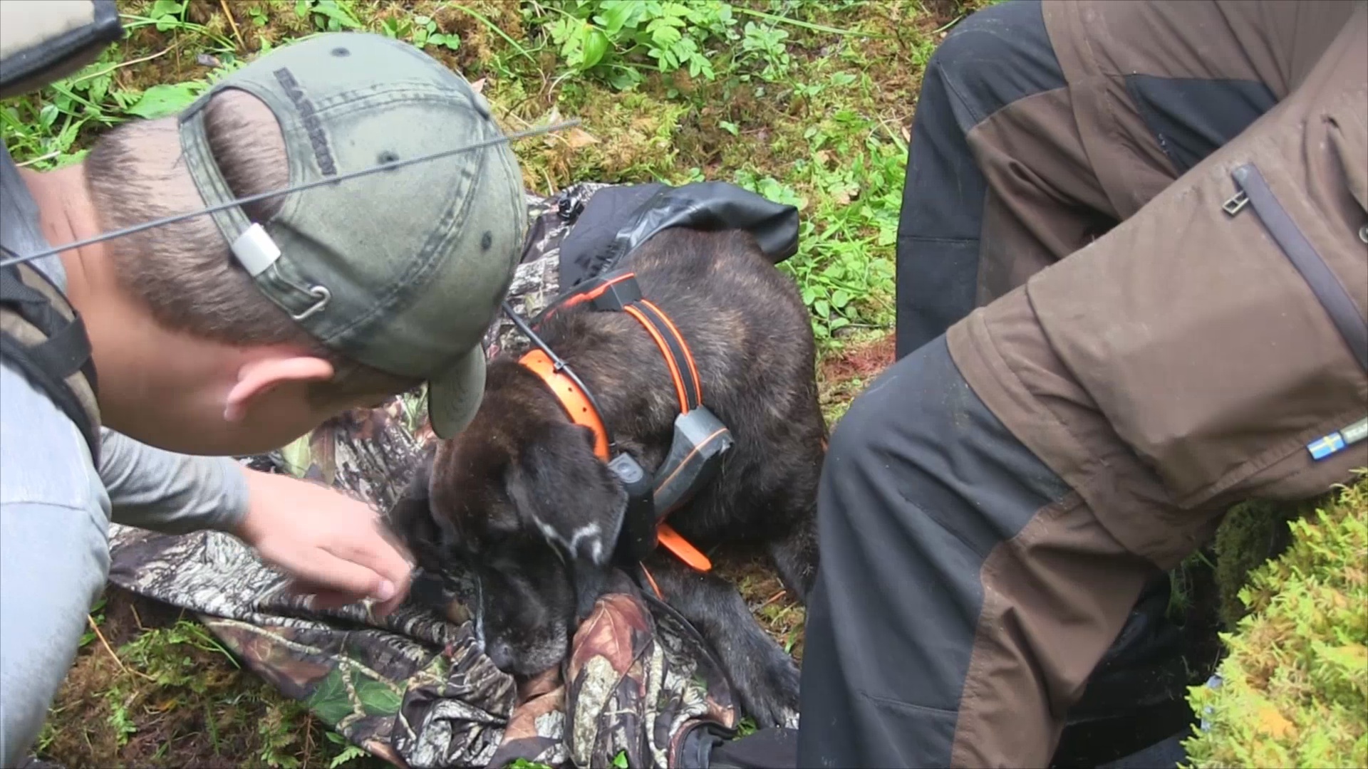 Björnjakten 2015 : Del 5