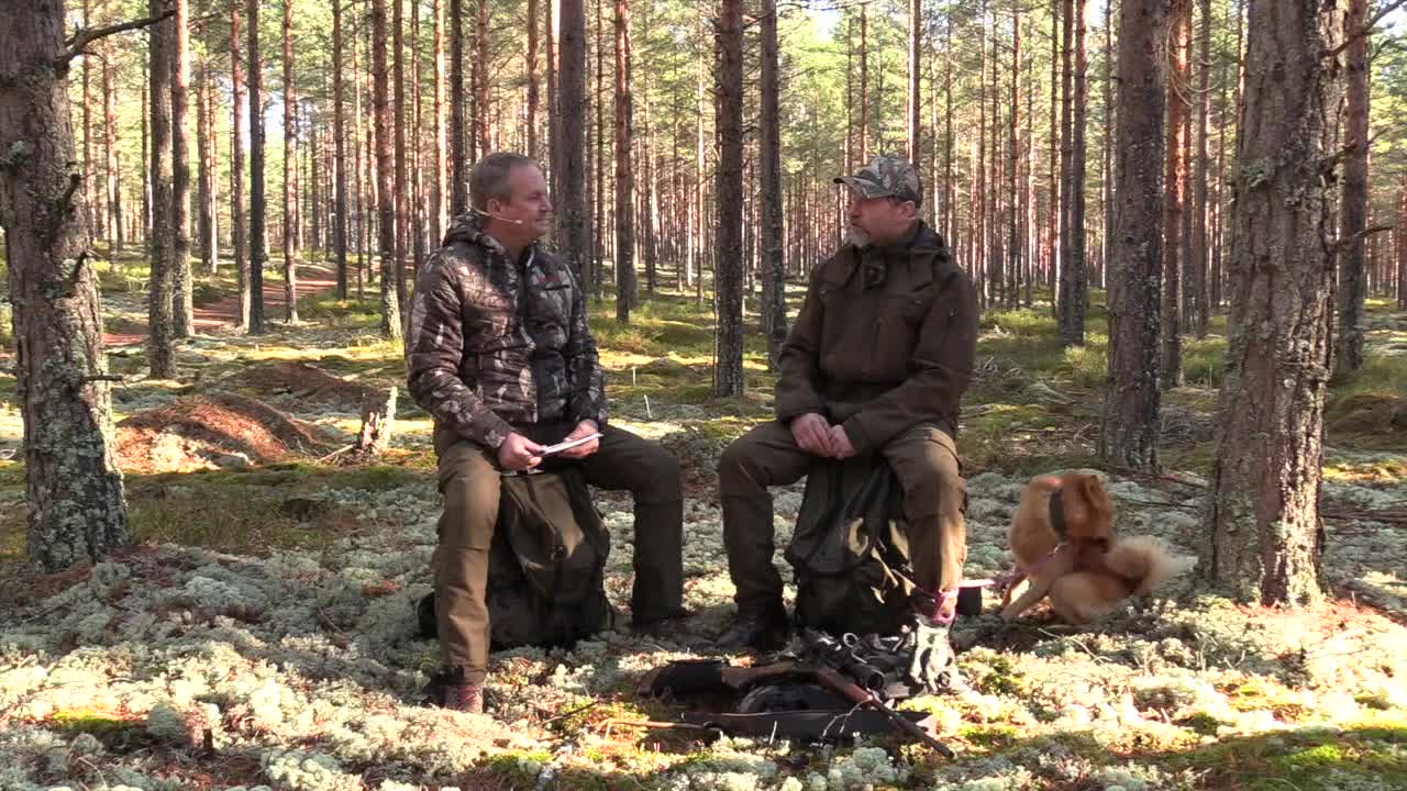 Jaktstudion : Skogsfågel Del 9