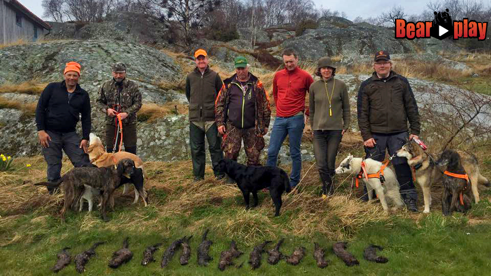 Rasmus Vardag : Minkjakt 4