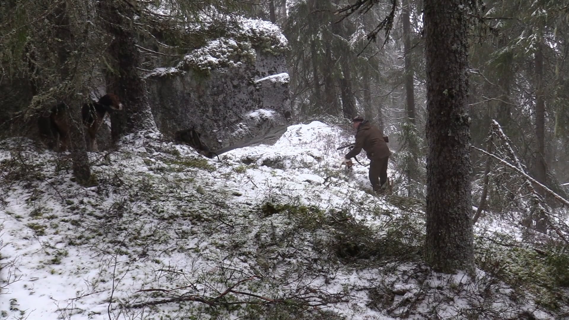 Rasmus Vardag : Rävjakt 16