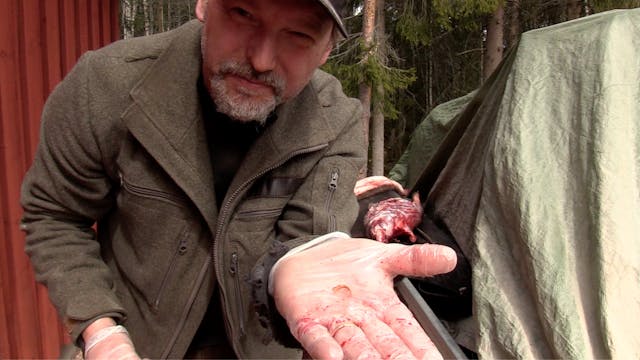 Rasmus Vardag : Bäverflåning