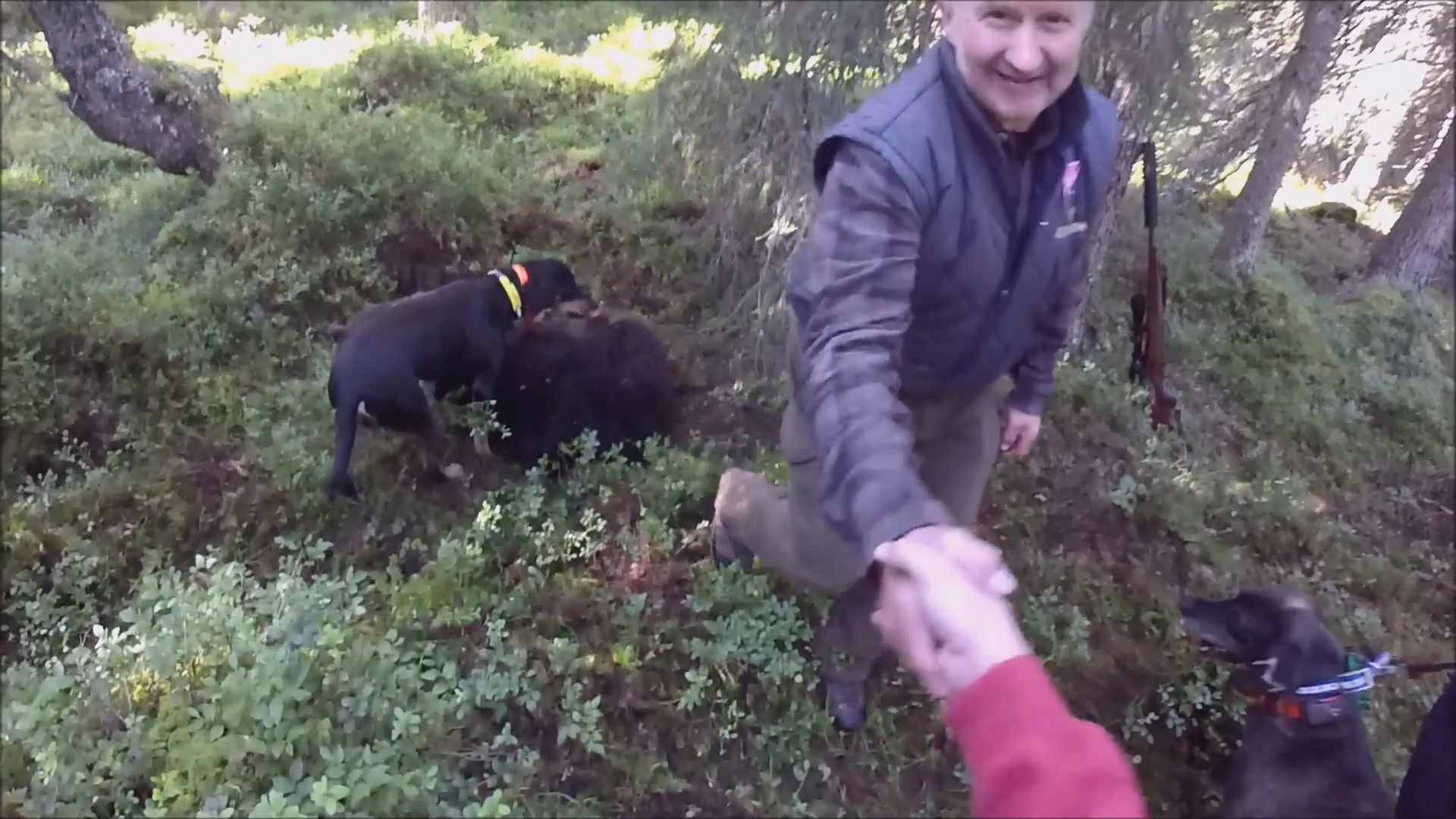 Björnjakten 2016 : Del 3