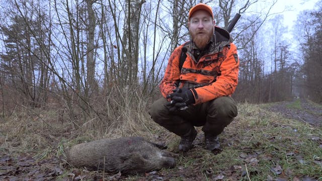 Martins Jakt : Full fart i vassen!