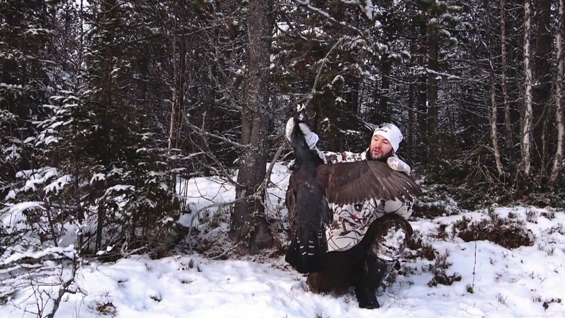 Åseletrappern :  Toppfågeljakt 7