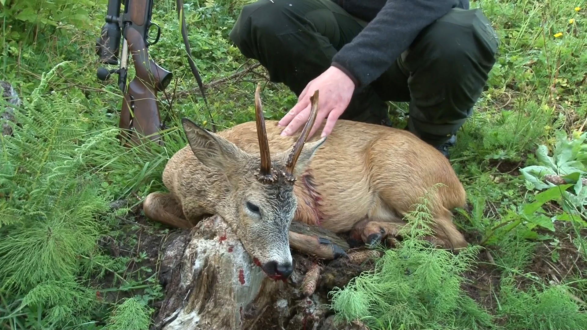 Martin Brenne Jegerliv : Bockjakt 2