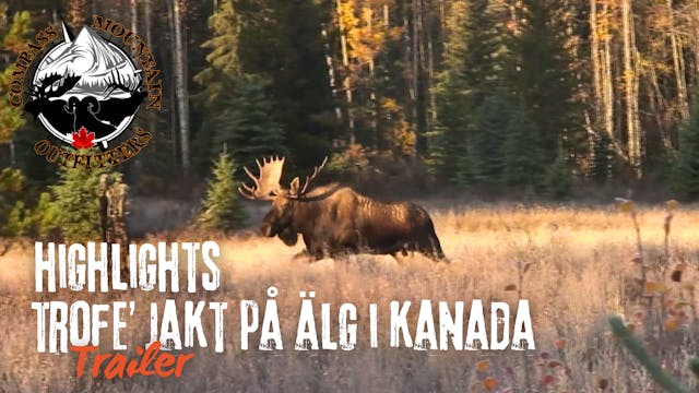 Tom Sallows | Highlights, Trofe´jakt ...