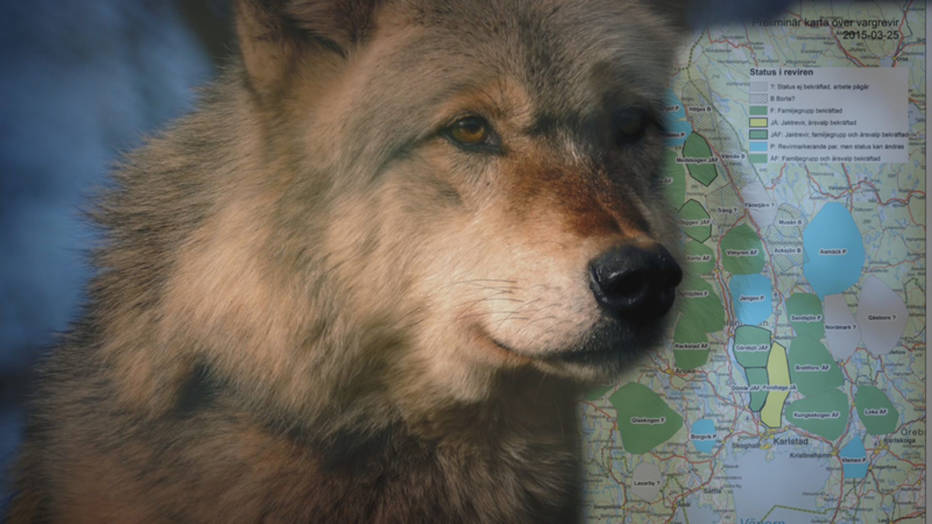 Vargintervju Med Lennart Johannesson