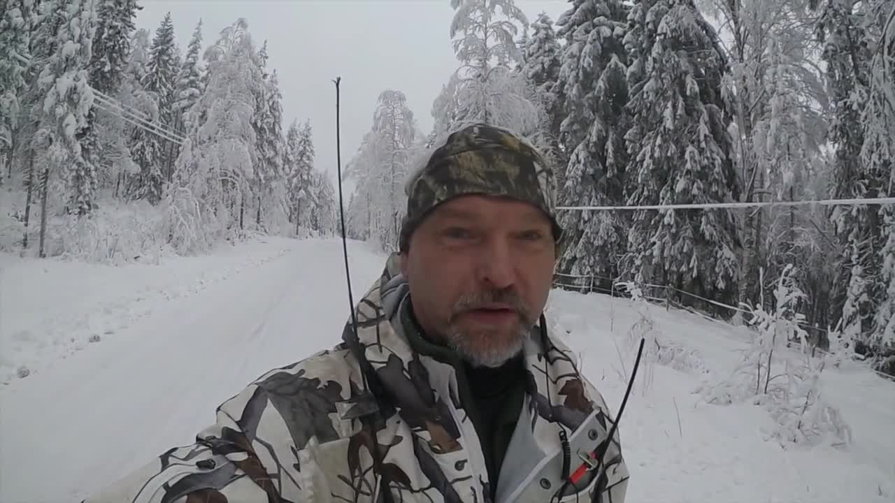 Rasmus Vardag : Räv- & Mårdjakt 19